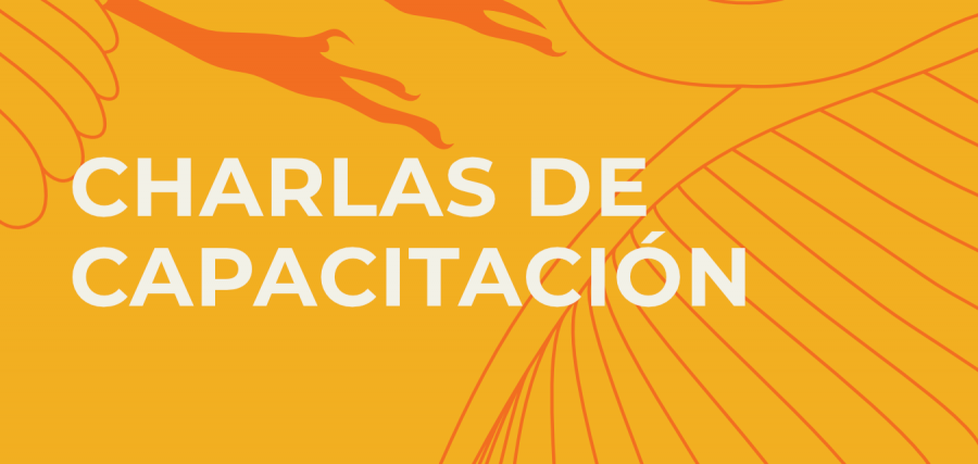 Charlas de capacitación